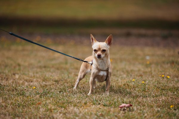 What's the Future of UK Sports Sponsorship?